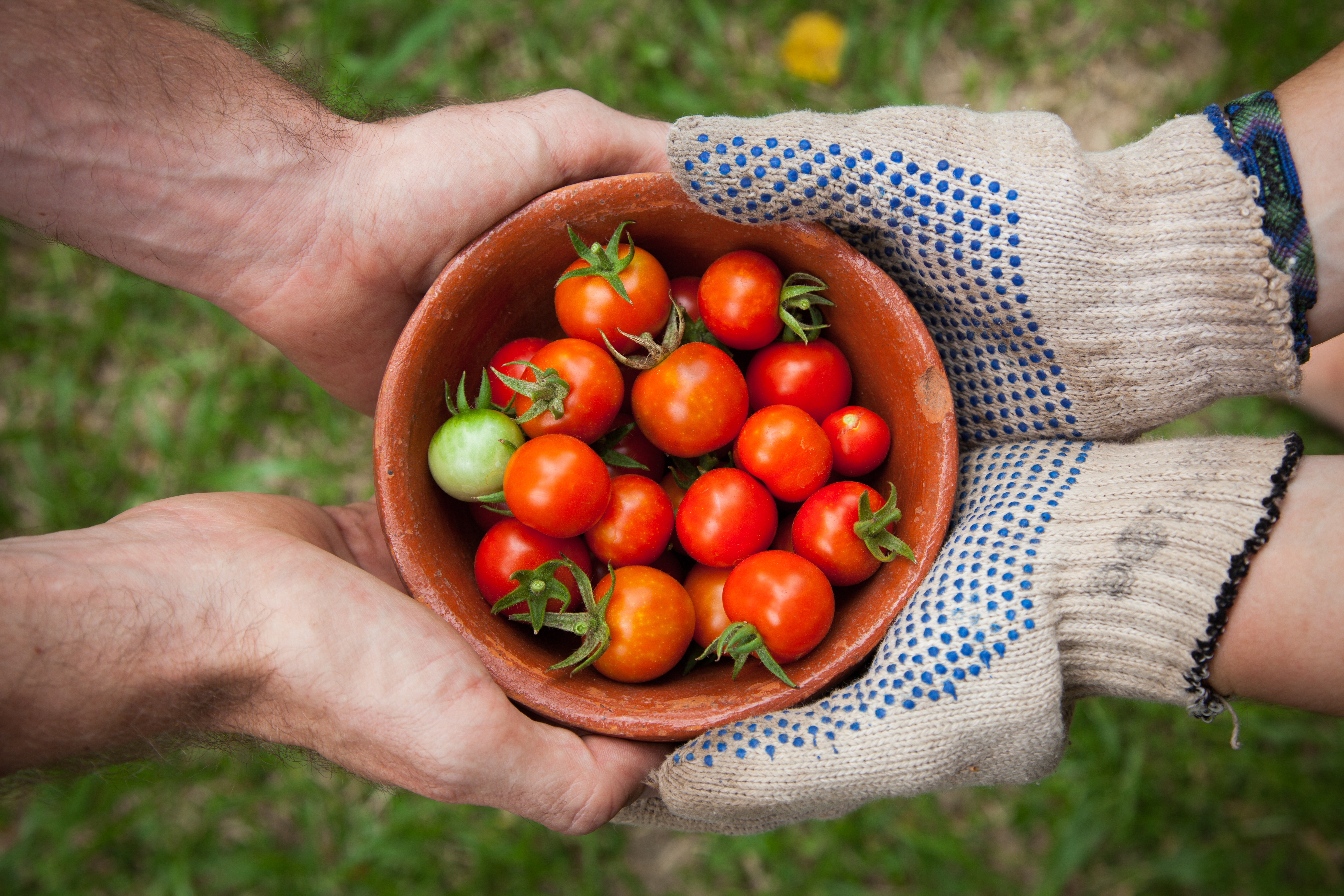 healthy eating workplace wellness