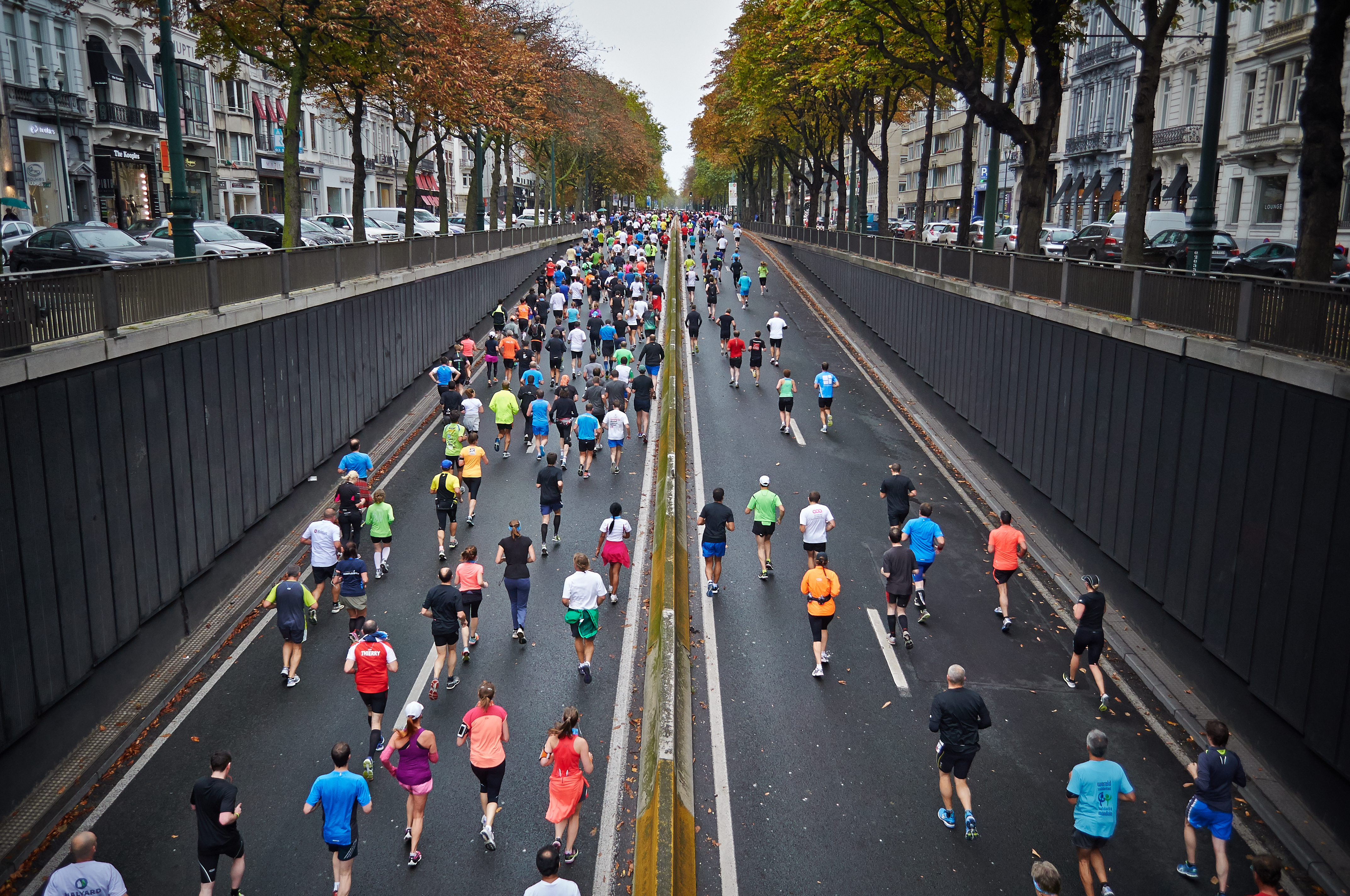 exercise workplace wellness